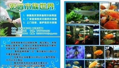 水族馆里一般都有什么鱼（水族馆的鱼类种类）