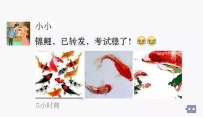 发金龙鱼的微信说说搞笑（发金龙鱼的微信说说搞笑内容）