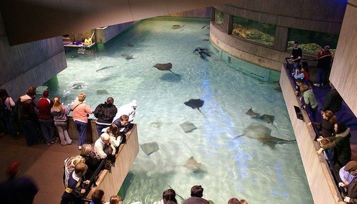 有名的水族馆有哪些（世界著名的水族馆） 水族馆百科（水族馆加盟） 第4张