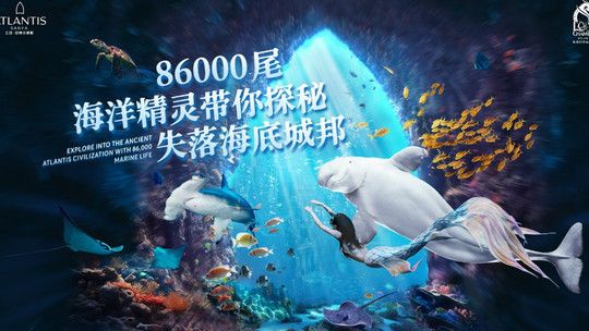 海南的水族馆（三亚亚特兰蒂斯水族馆） 水族馆百科（水族馆加盟） 第1张