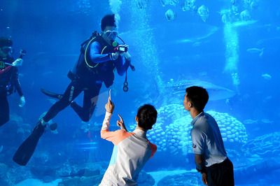 开个水族馆要办什么执照（开水族馆需办理哪些证件） 水族馆百科（水族馆加盟） 第3张