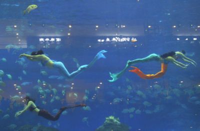 开个水族馆要办什么执照（开水族馆需办理哪些证件） 水族馆百科（水族馆加盟） 第5张