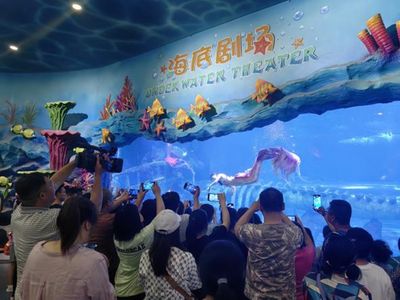 祥龙水族馆亲子活动时间表（祥龙水族馆亲子活动时间表相关内容） 水族馆百科（水族馆加盟） 第4张