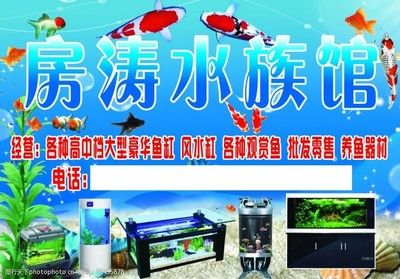 水族馆常卖的鱼（水族馆常卖的鱼类）