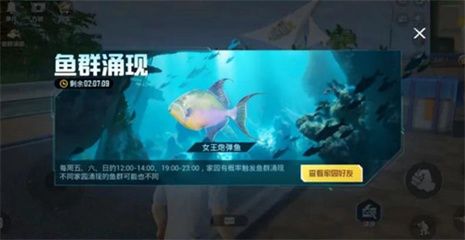 水族馆在哪里和平精英（《和平精英》上海水族馆） 水族馆百科（水族馆加盟） 第5张