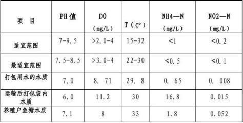 银龙鱼鱼鳍有白点（银龙鱼的白点问题如何处理？） 水族问答 第1张