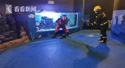 水族馆服务员累吗（水族馆服务员的职业晋升路径） 水族馆百科（水族馆加盟） 第4张