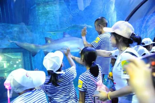 水族馆名称大全图片（世界著名水族馆排名悉尼水族馆、新加坡水族馆、新加坡水族馆）