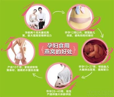 燕窝对孕妇的具体益处（孕妇如何科学食用燕窝） 马来西亚燕窝 第5张