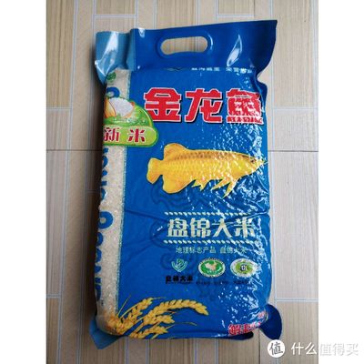 金龙鱼什么牌子好（金龙鱼食用油哪种最适合孕妇） 龙鱼百科 第3张