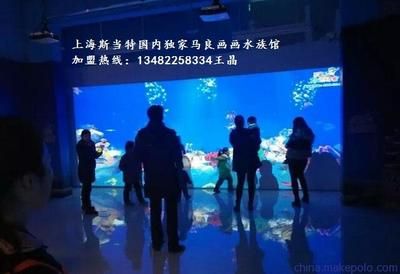 开水族馆利润有多大啊知乎（水族馆加盟品牌选择指南） 水族馆百科（水族馆加盟） 第5张