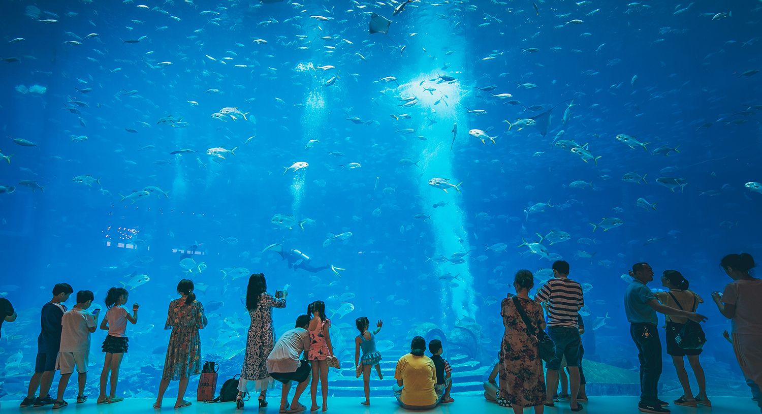 海南的水族馆哪个好玩（三亚亚特兰蒂斯水族馆门票价格）