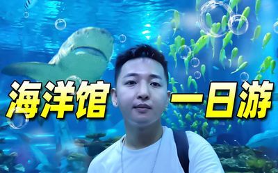 水族馆vlog（水族馆vlog拍摄技巧分享水族馆vlog热门话题）