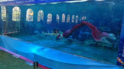 开一个水族馆需要什么手续（开设一个水族馆所需的手续） 水族馆百科（水族馆加盟） 第5张