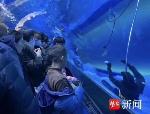 水族馆工作人员叫什么（水族馆员工的工作内容）