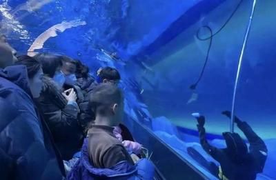 水族馆工作人员叫什么（水族馆员工的工作内容）