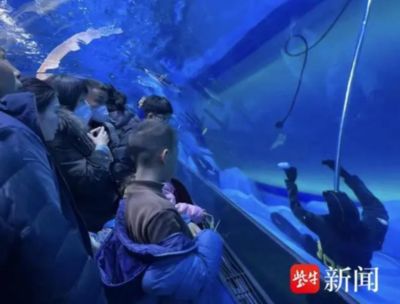 水族馆工作人员叫什么（水族馆员工的工作内容） 水族馆百科（水族馆加盟） 第4张