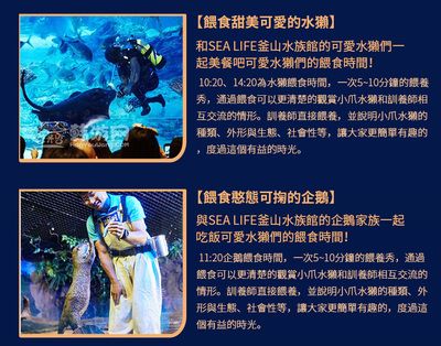 水族馆 下载（水族馆盈利策略解析：轻松水族馆在现代科技和教育背景下的发展与挑战） 水族馆百科（水族馆加盟） 第5张