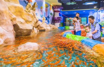 水族馆儿童钓鱼（水族馆儿童钓鱼活动对儿童的认知发展的影响）