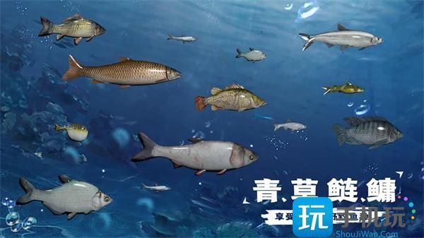 水族馆儿童钓鱼（水族馆儿童钓鱼活动对儿童的认知发展的影响）