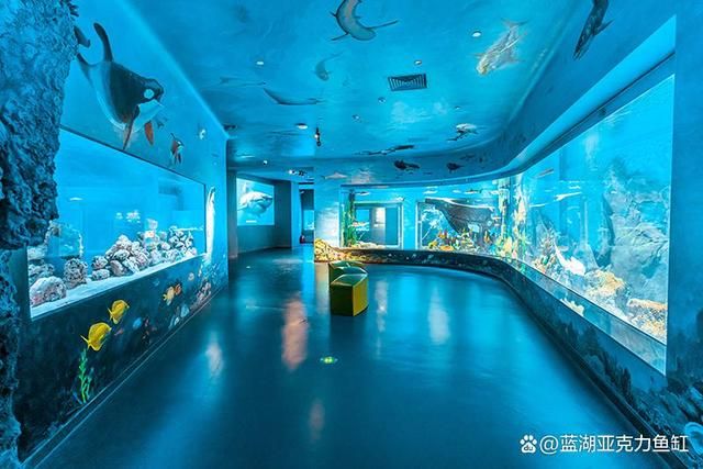 水族馆建造费用标准文件（关于水族馆建造费用标准的详细文件） 水族馆百科（水族馆加盟） 第4张