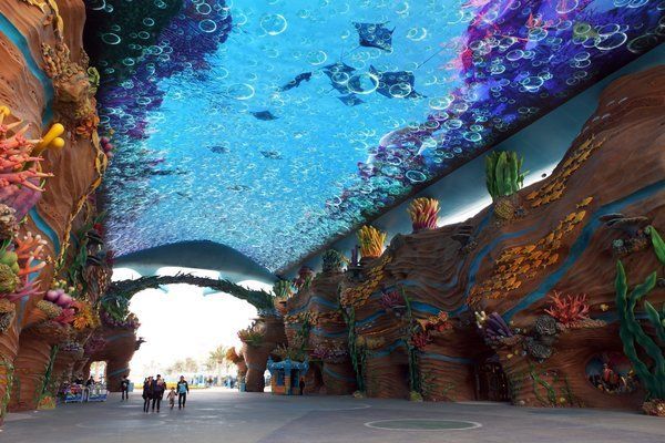 水族馆挣钱吗（水族馆教育、娱乐和教育、娱乐和教育、娱乐和教育公众的挑战） 水族馆百科（水族馆加盟） 第2张