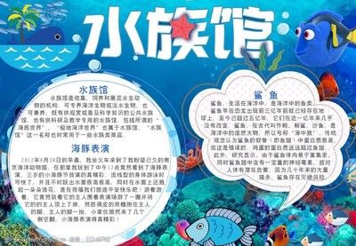 一般水族馆都卖些什么鱼？（水族馆售卖的鱼类种类繁多，） 水族馆百科（水族馆加盟） 第5张