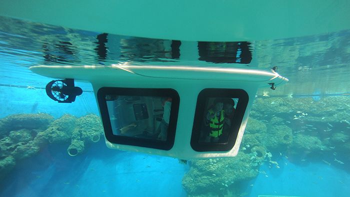 成都水族馆在哪里（成都水族馆亲子活动安排） 水族馆百科（水族馆加盟） 第3张