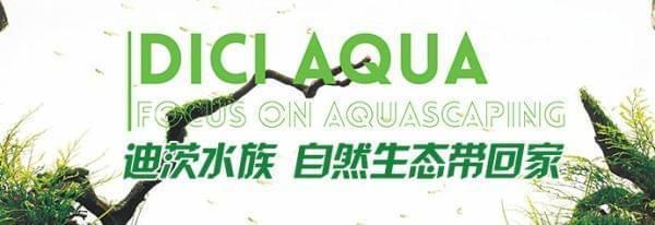 开个水族馆赚钱吗现在多少钱（开设水族馆成本和盈利模式） 水族馆百科（水族馆加盟） 第3张