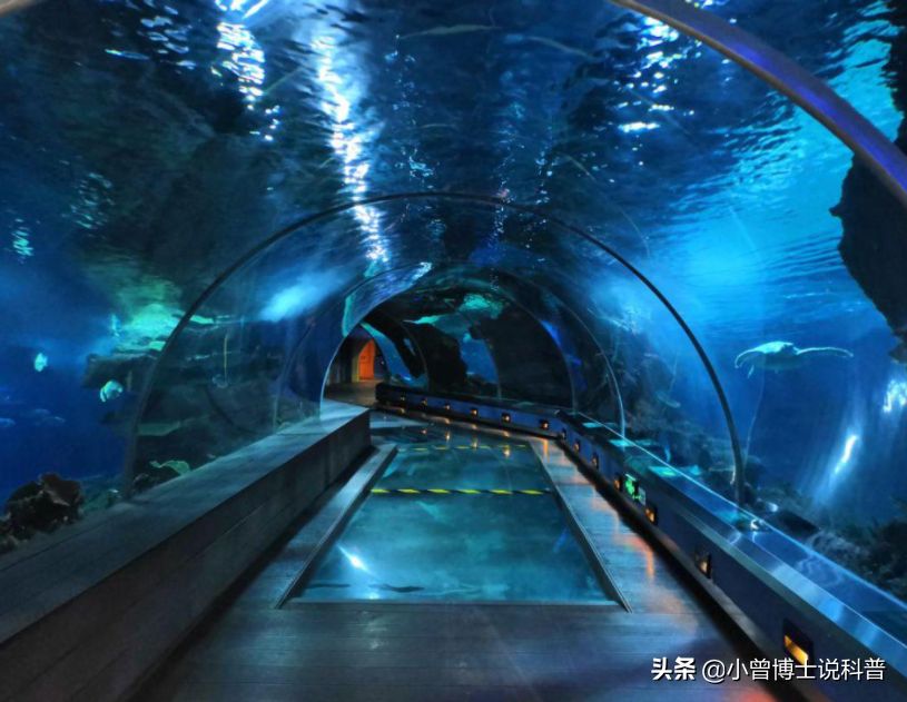 水族馆建造费用多少钱一平方（水族馆建造费用具体多少钱一平方） 水族馆百科（水族馆加盟） 第4张