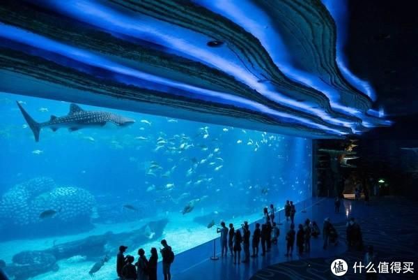 世界十大水族馆排名（世界十大水族馆排名，上海海洋水族馆隧道体验感受） 水族馆百科（水族馆加盟） 第2张