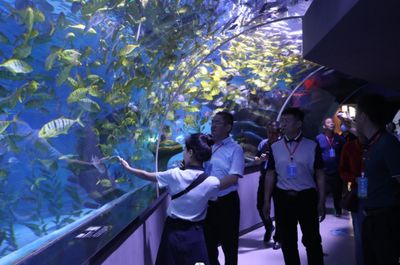 开水族馆需要办什么证件吗现在（开设水族馆所需的证件及其办理流程） 水族馆百科（水族馆加盟） 第1张