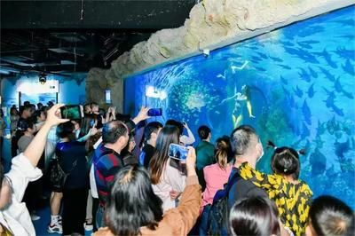 开一个水族馆多少钱人民币（开一个水族馆的成本可能在10万至20万元之间）