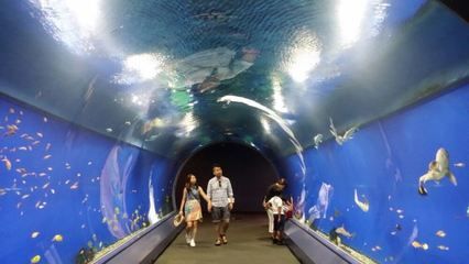 水族馆的英文（世界著名水族馆介绍水族馆的英文是\