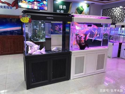 开一家水族馆能挣钱吗现在（开一家水族馆是否能挣钱取决于多种因素提供个性化服务） 水族馆百科（水族馆加盟） 第1张