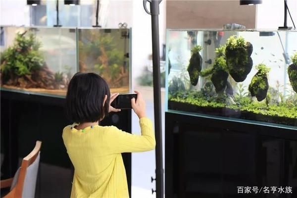 开一家水族馆能挣钱吗现在（开一家水族馆是否能挣钱取决于多种因素提供个性化服务） 水族馆百科（水族馆加盟） 第2张