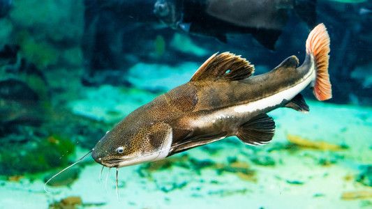 水族馆店内照片大全（水族馆互动体验项目水族馆鱼图片及名字都有哪些常见） 水族馆百科（水族馆加盟） 第1张