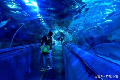 水族馆赚钱游戏怎么玩（水族馆赚钱游戏怎么玩水族馆游戏任务奖励介绍） 水族馆百科（水族馆加盟） 第1张