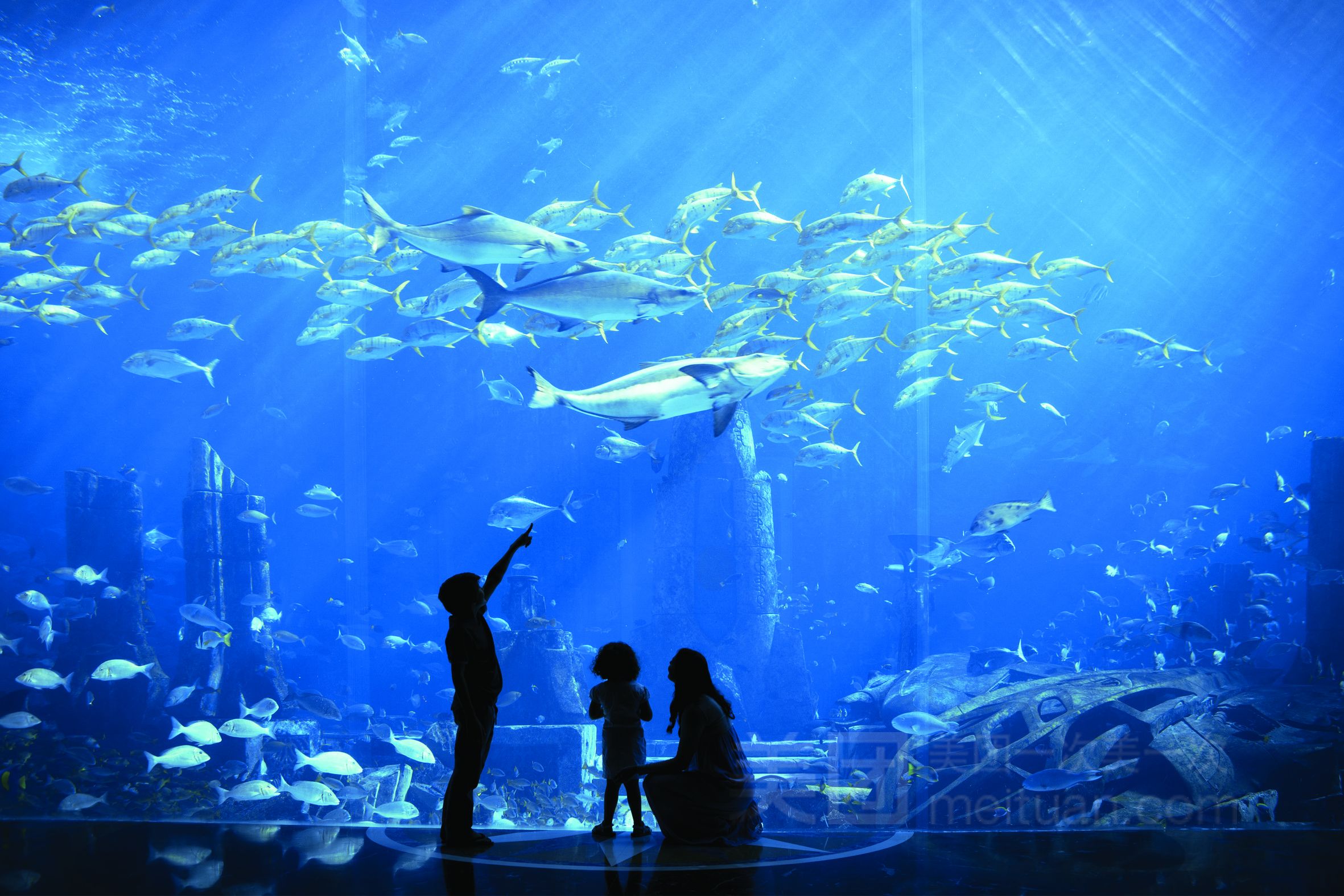 亚特兰蒂斯水世界和水族馆哪个好（亚特兰蒂斯水世界和亚特兰蒂斯水世界和水族馆各有特色） 水族馆百科（水族馆加盟） 第2张