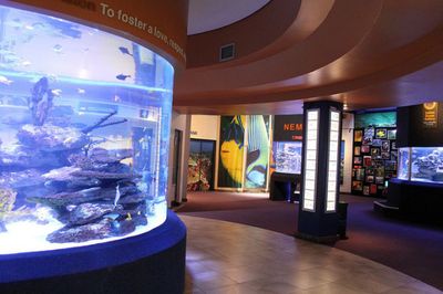 水族馆哪里的比较好玩（上海海洋水族馆） 水族馆百科（水族馆加盟） 第1张