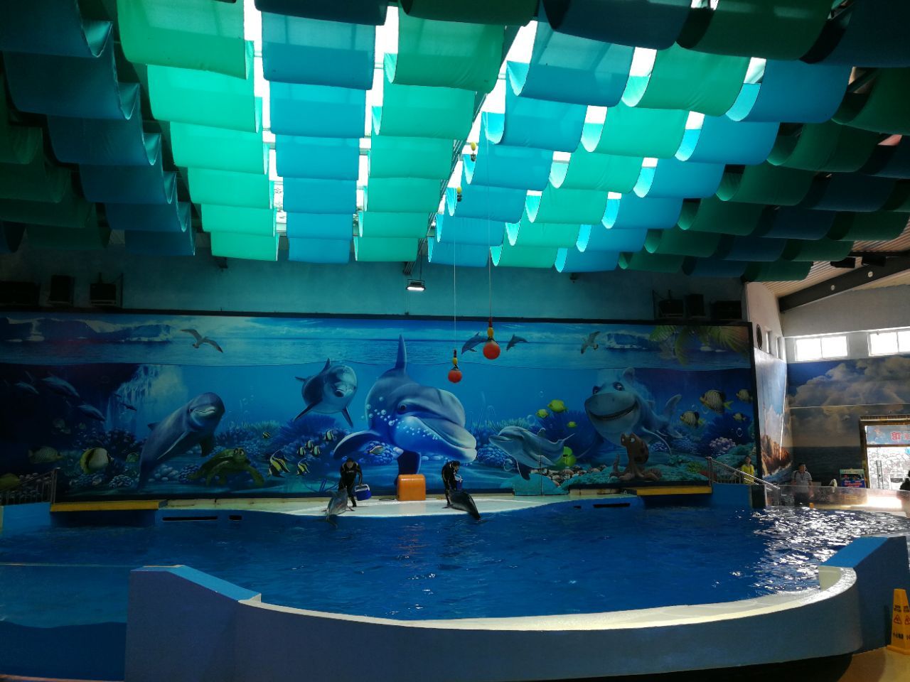 水族馆哪里的比较好玩（上海海洋水族馆） 水族馆百科（水族馆加盟） 第5张