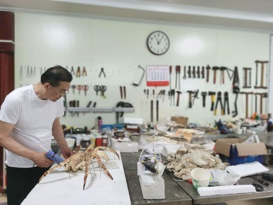 中国水族馆发展现状（中国水族馆未来发展建议：加强人才培养、提高服务质量） 水族馆百科（水族馆加盟） 第4张