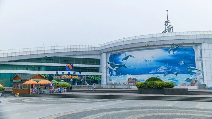 水族馆要预约吗北京（北京海洋馆特惠票购买指南）