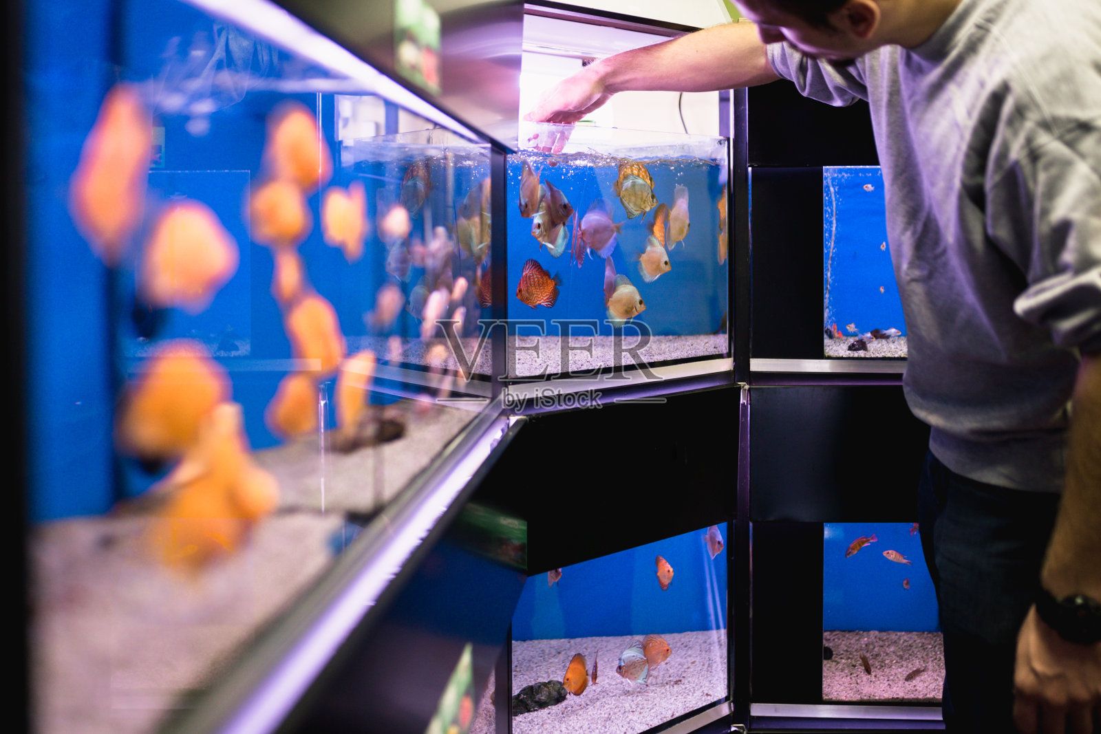 开水族馆店（开水族馆店的市场前景） 水族馆百科（水族馆加盟） 第5张