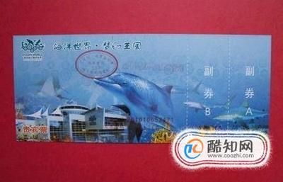 开一家水族馆需要些什么证件呢视频（开一家水族馆需要些什么证件呢视频详情）