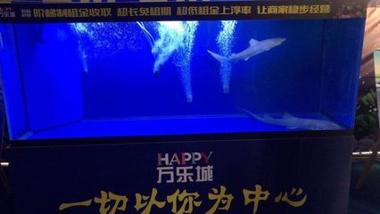 开一家水族馆需要些什么证件呢视频（开一家水族馆需要些什么证件呢视频详情）