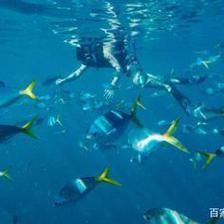 水族馆店名称大全四个字（四个字的独特且富有吸引力的水族馆店名推荐） 水族馆百科（水族馆加盟） 第5张