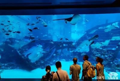 高端水族馆（三亚亚特兰蒂斯水族箱优惠活动鱼宝贝水族箱优惠活动） 水族馆百科（水族馆加盟） 第4张