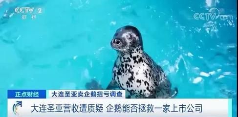 水族馆主营业务是什么（水族馆主营业务） 水族馆百科（水族馆加盟） 第5张