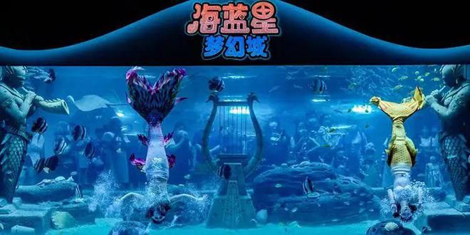 水族馆有些什么（上海海洋水族馆特色展览介绍水族馆互动体验有哪些） 水族馆百科（水族馆加盟） 第3张